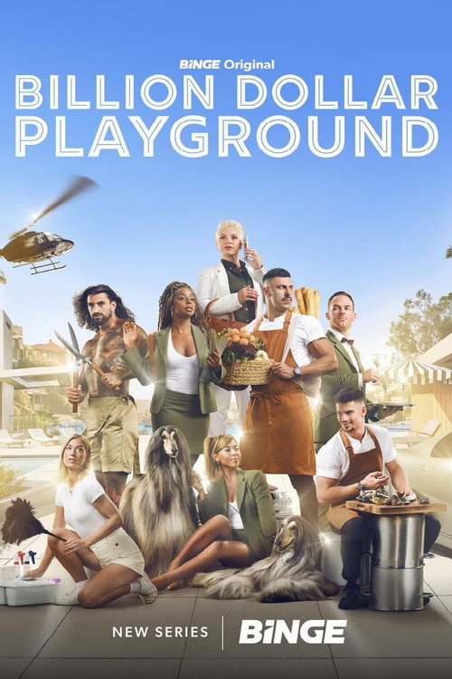 Billion Dollar Playground poster