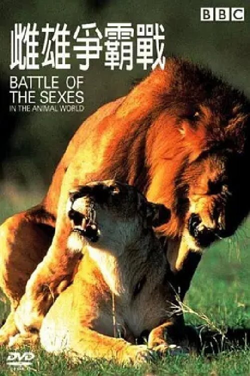 Battle of the Sexes - In the Animal World poster