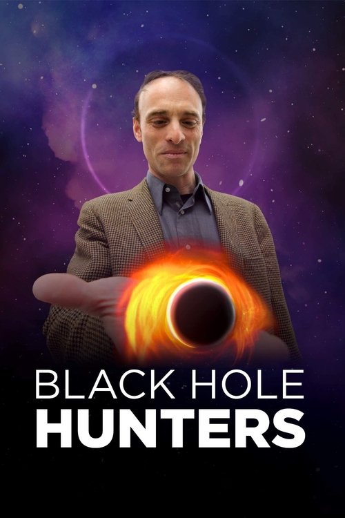 Black Hole Hunters poster