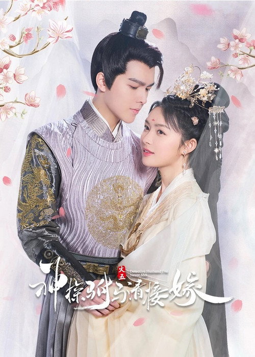 Detective Husband I've Never Met poster