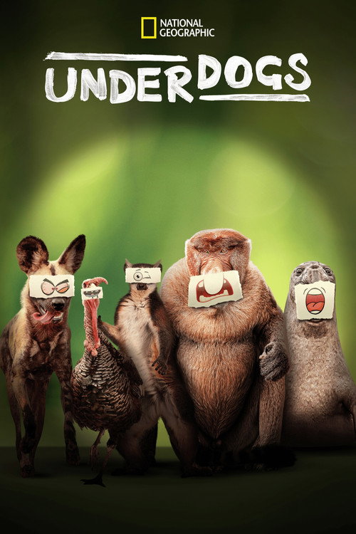 Underdogs poster