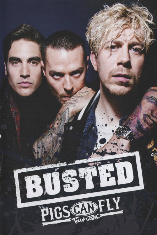 Busted: Pigs Can Fly Tour 2016 poster