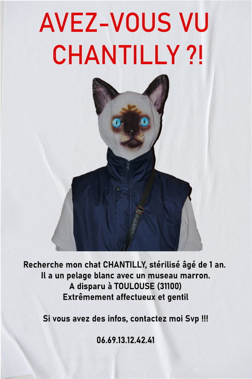 AVEZ-VOUS VU CHANTILLY ?! poster