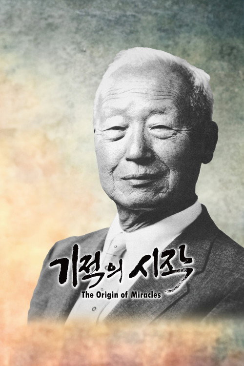 The Origin of Miracles poster