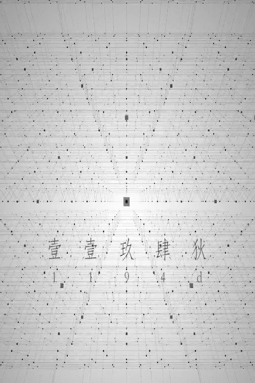 1194D poster