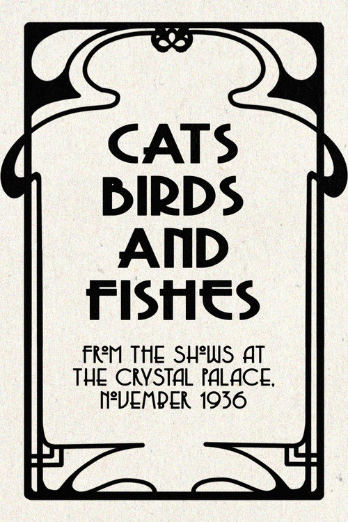 Cats, Birds and Fishes poster
