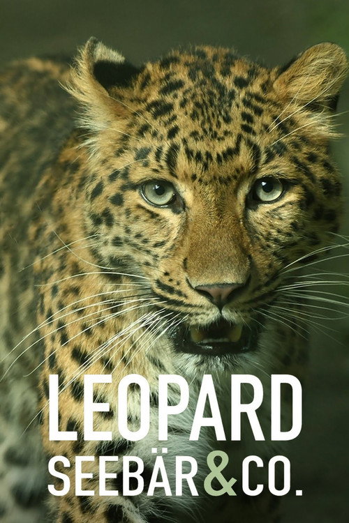 Leopard, Seebär & Co. poster