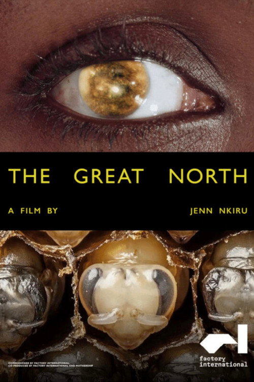 The Great North poster