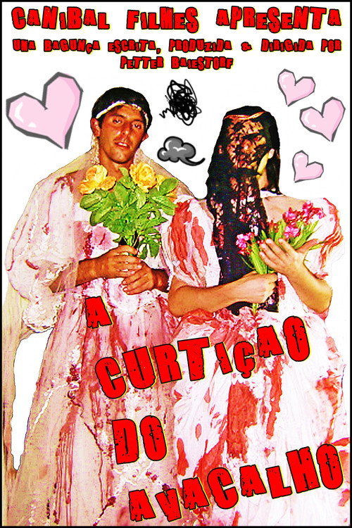 The Enjoyment of the Avacalho poster