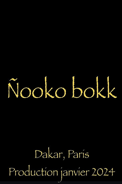 Nooko Bokk poster