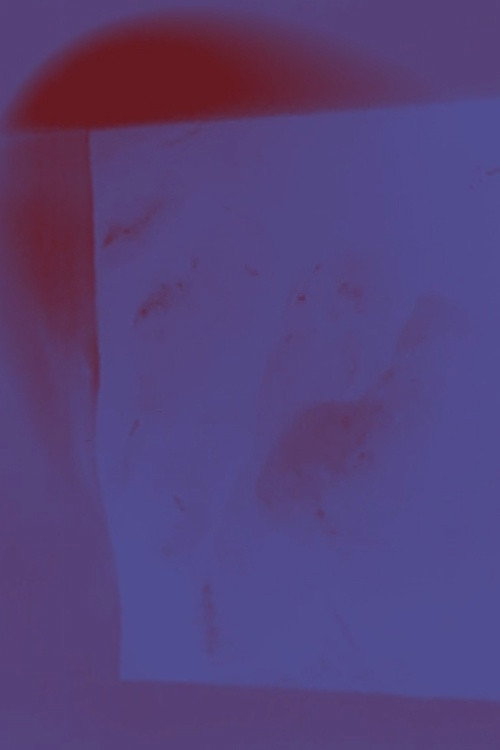 Corpus II Home poster