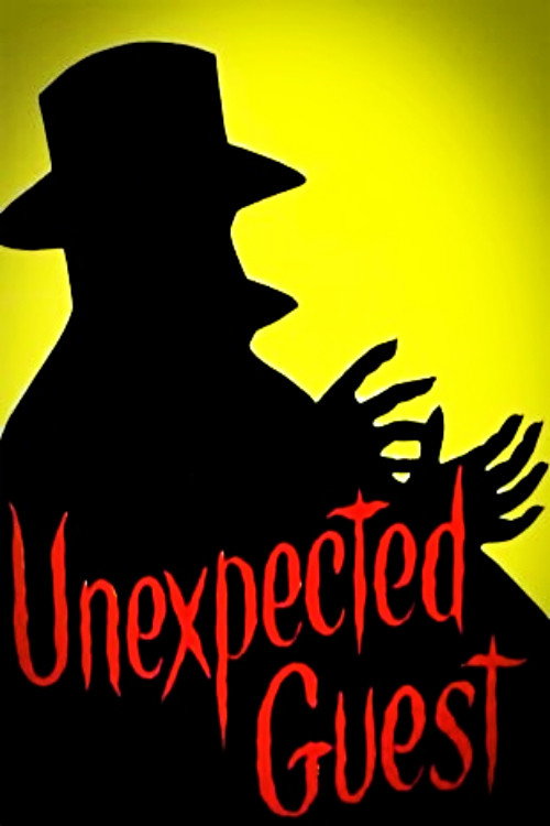 Unexpected Guest poster
