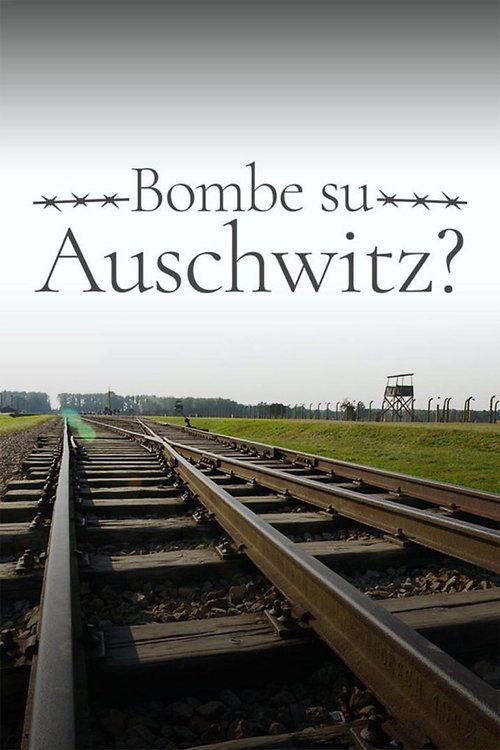 1944: Should We Bomb Auschwitz? poster