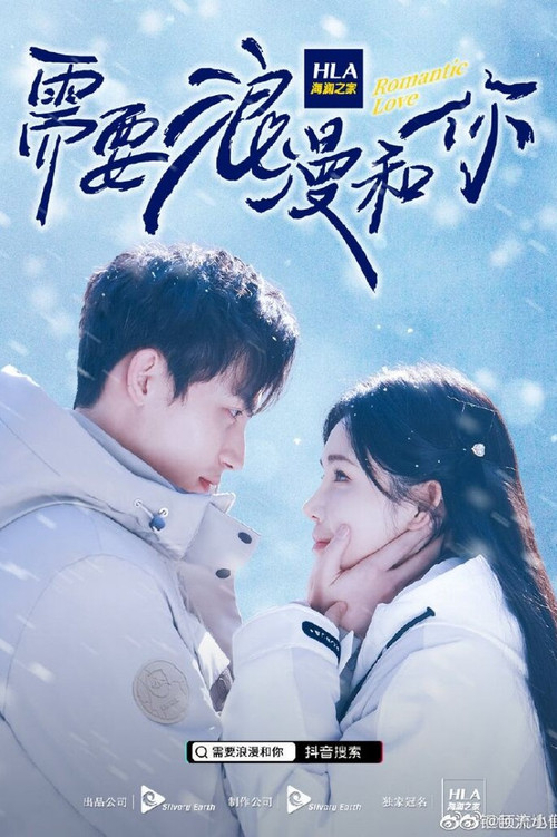 Romantic Love poster