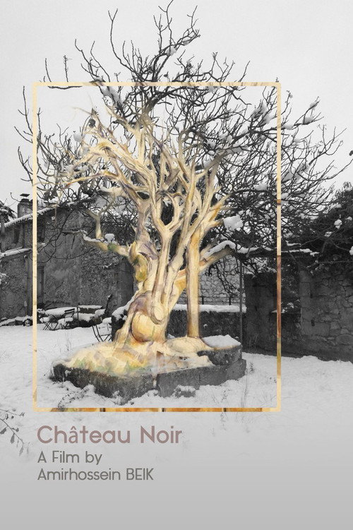 Château Noir poster