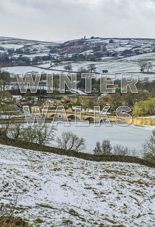 Winter Walks poster
