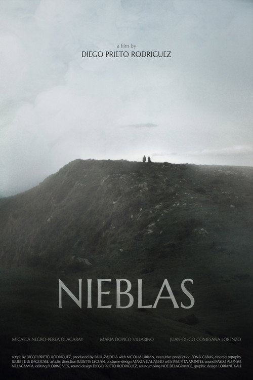 Nieblas poster