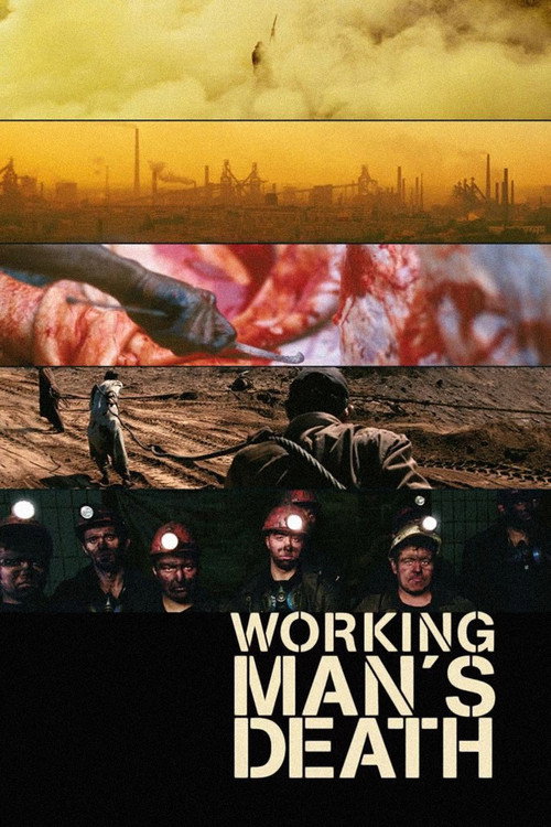 Workingman's Death poster