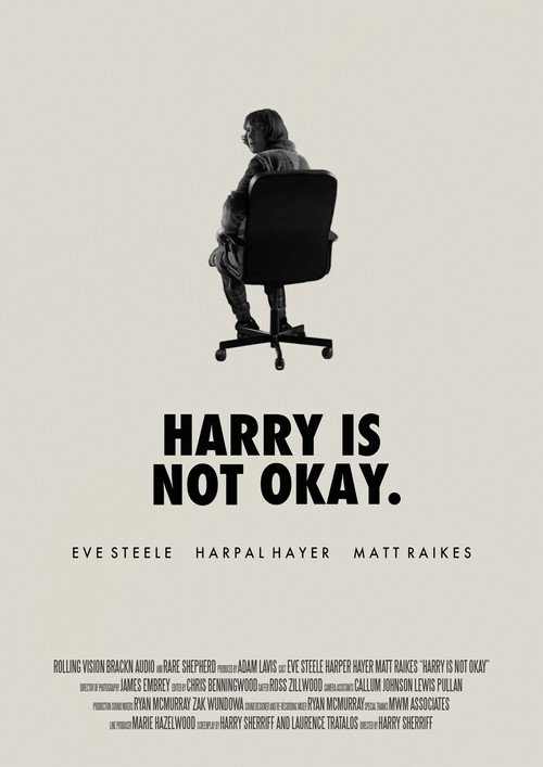 Harry Is Not Okay poster