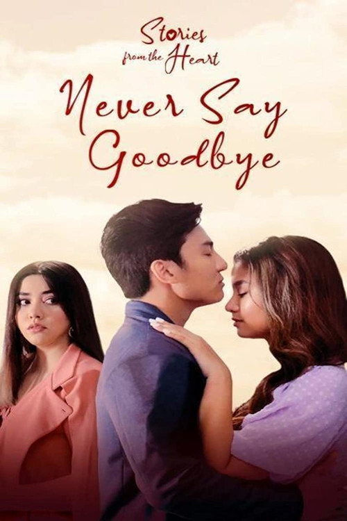 Stories From The Heart: Never Say Goodbye poster