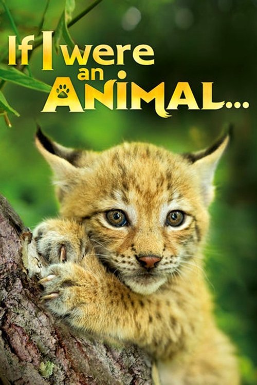 If I Were an Animal poster