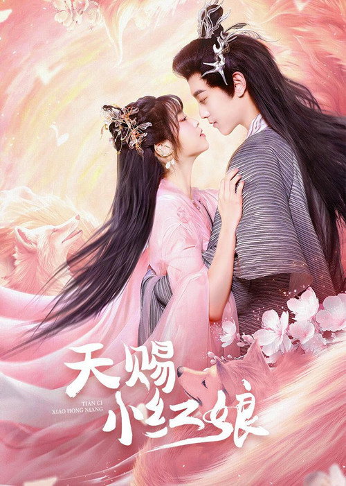 The Little Red Matchmaker poster