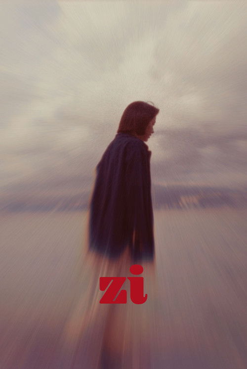 Zi poster