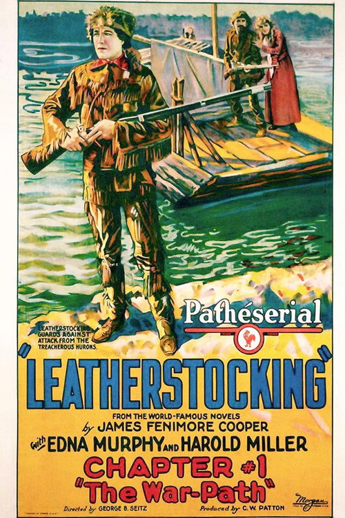 Leatherstocking poster