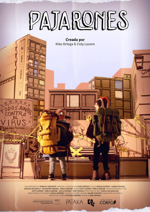 Pajarones poster