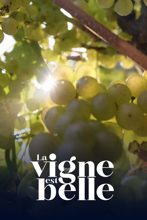 La vigne est belle poster