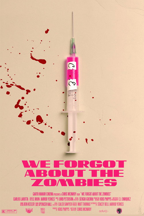 We Forgot About the Zombies poster