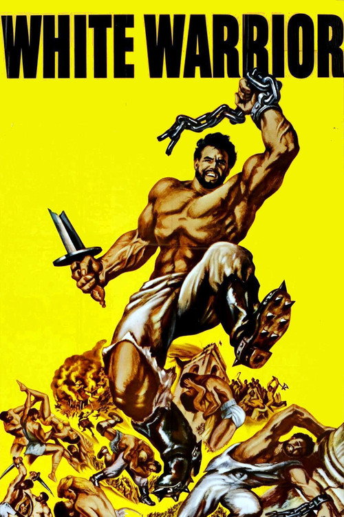 The White Warrior poster
