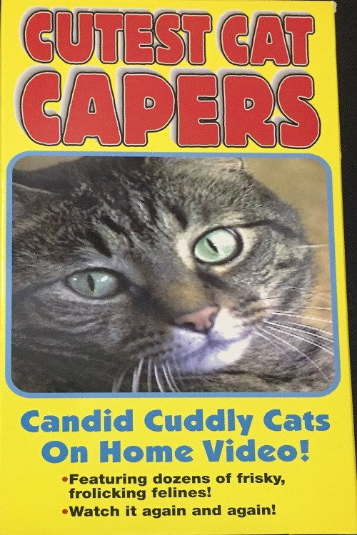 Cutest Cat Capers poster