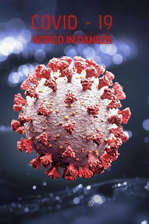 Covid 19: The World in Danger poster