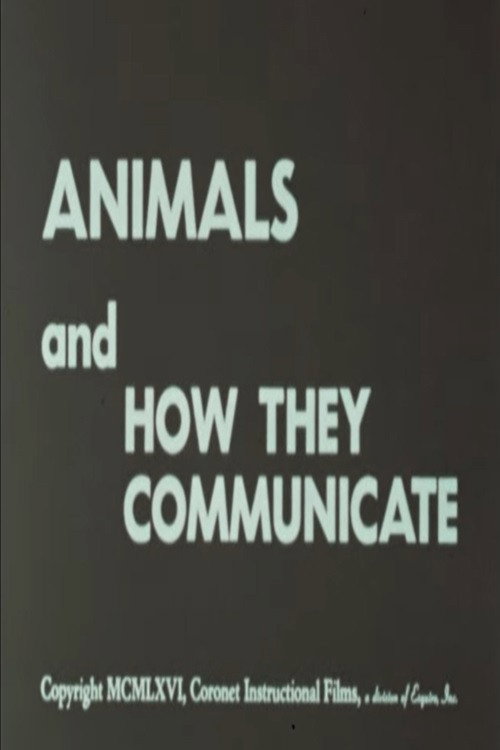 Animals and How They Communicate poster