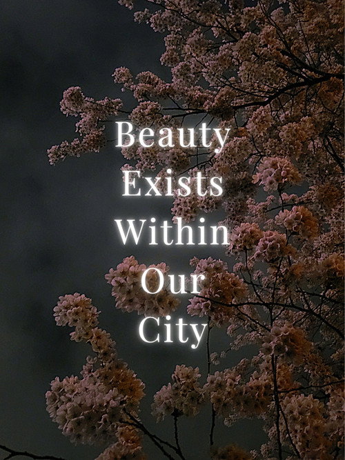 Beauty Exists Within Our City poster