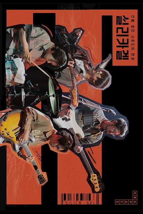 Silica Gel: The Birth of a Young and Brave Sound poster