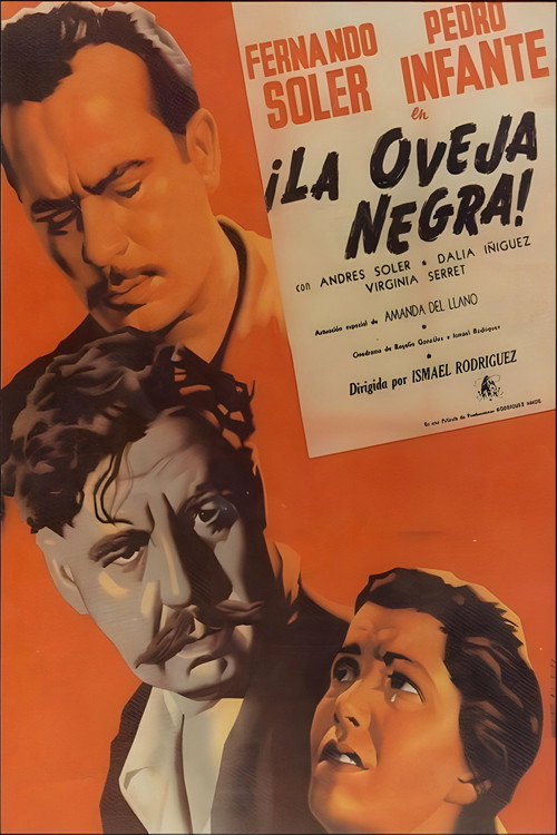 The Black Sheep poster