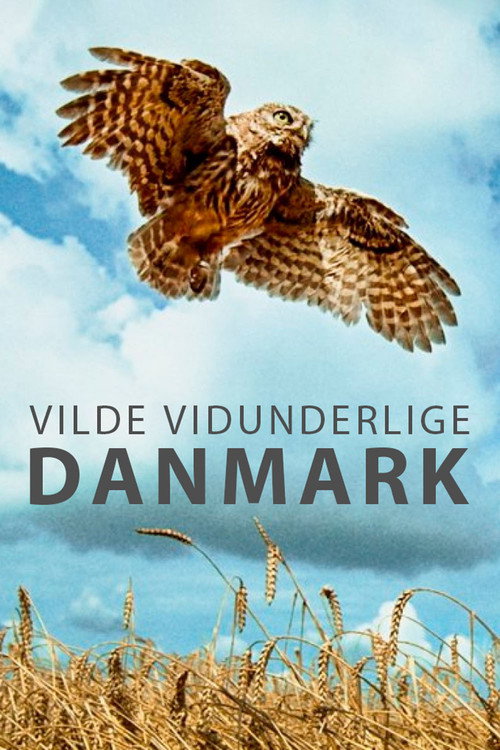 Wild and Wonderful Denmark poster