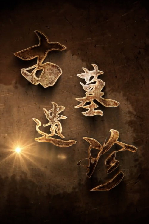古墓遗珍 poster