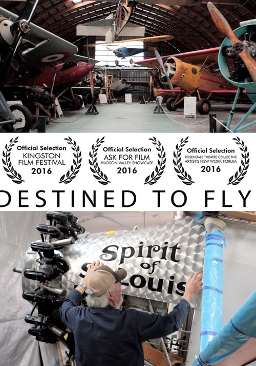 Destined to Fly poster