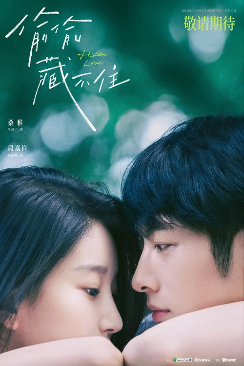 Hidden Love poster
