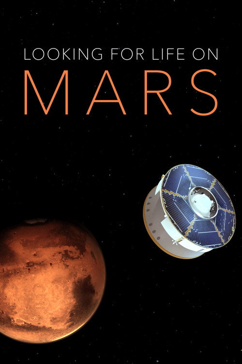Looking for Life on Mars poster