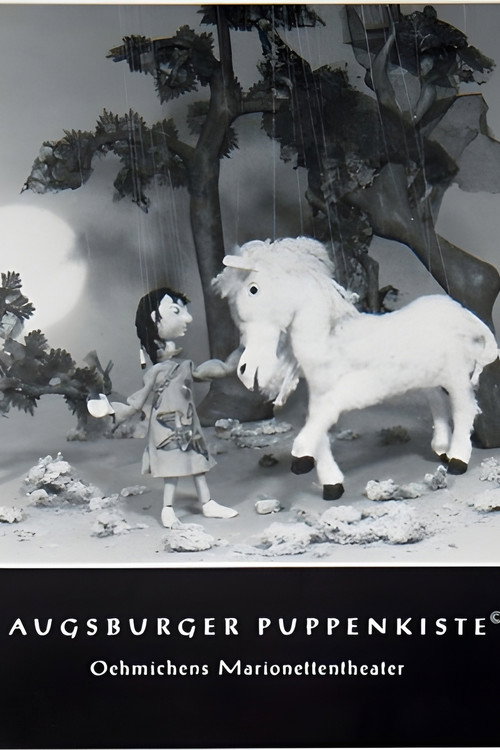 So Hi und das weiße Pferd poster