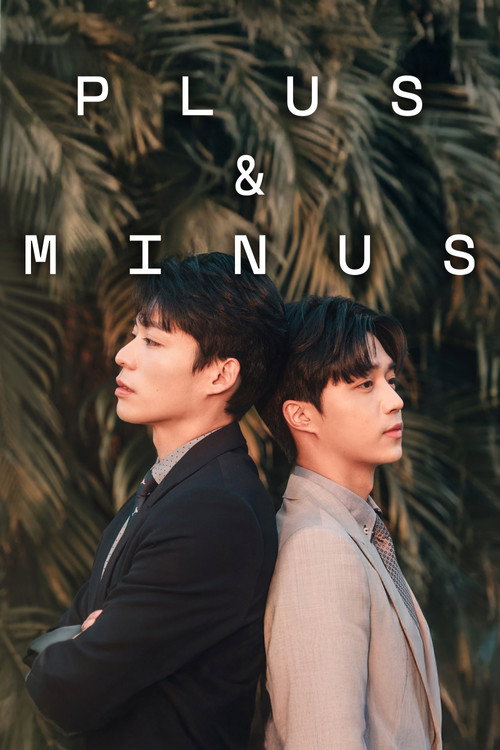 Plus & Minus poster