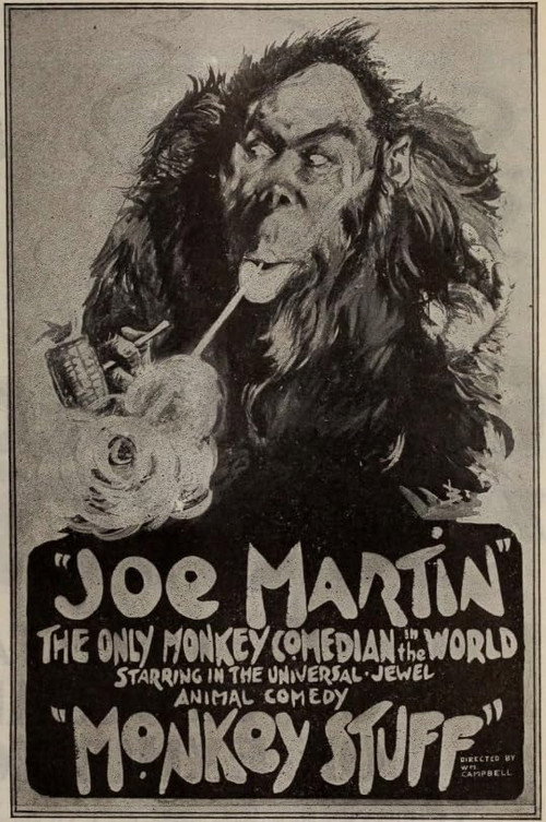 Monkey Stuff poster