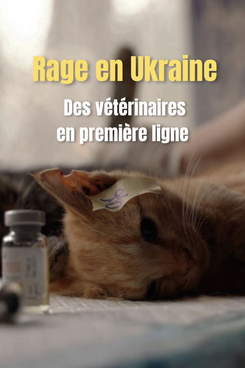 Rage en Ukraine : des vétériaires en première ligne poster