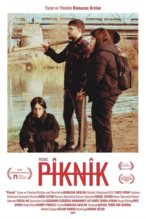 Picnic poster