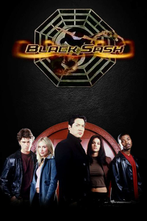 Black Sash poster