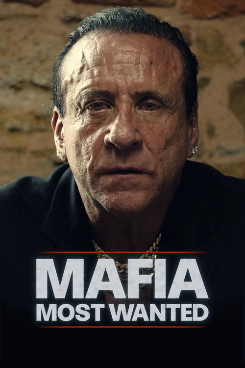 Mafia: Most Wanted poster